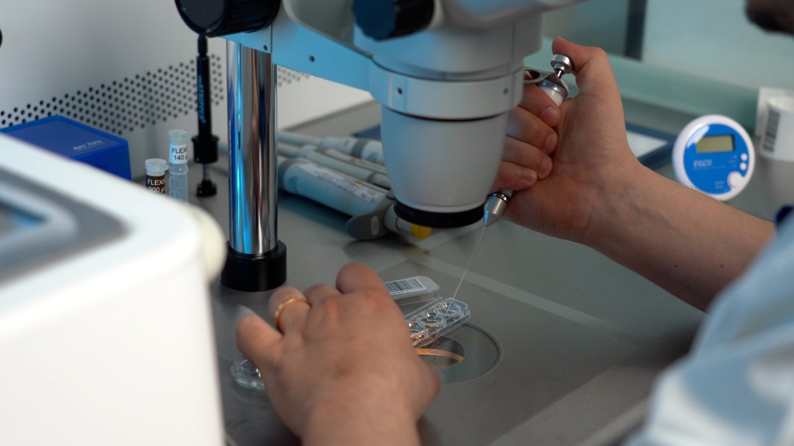 Laboratoire d'embryologie El Mawloud — préservation de la fertilité par vitrification